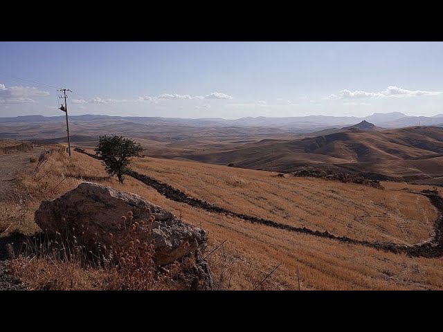 ⁣Droughts, desertification, heatwaves: the climate crisis hits Sicily hard