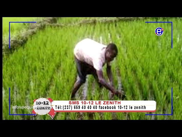 LA COLÈRE DE CHARLES ARMEL MBATCHOU DU JEUDI 18 JUILLET 2024 - EQUINOXE TV