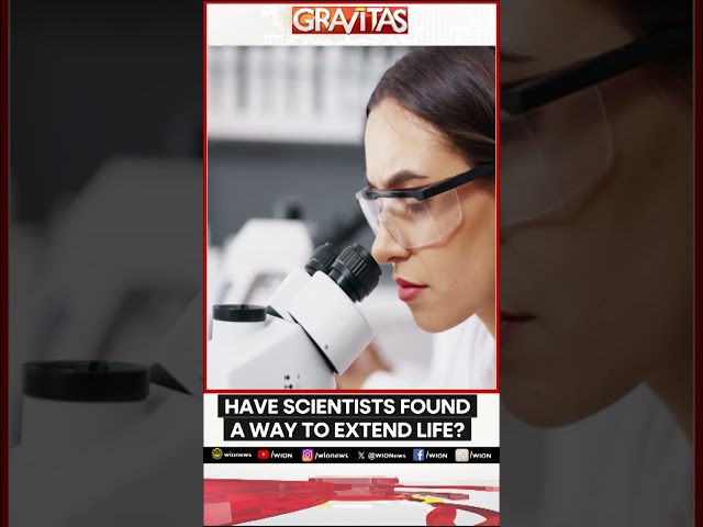 ⁣Gravitas | New miracle drug boosts lifespan, fights aging on mice: new study | Gravitas Shorts