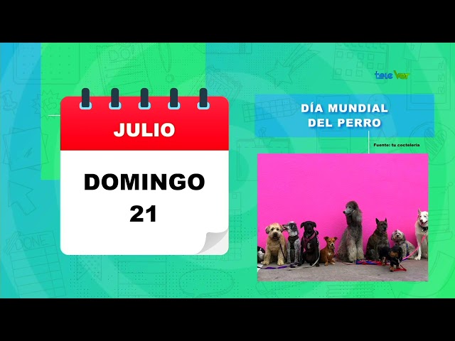 Día mundial del perro.