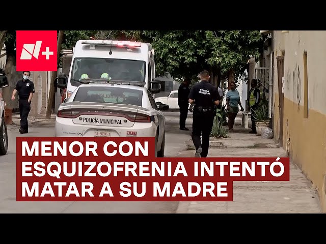 Menor con esquizofrenia mató a sus mascotas e intentó asesinar a su madre - N+