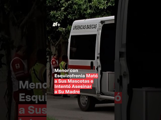 Menor con esquizofrenia mató a sus mascotas e intentó asesinar a su madre - N+ #Shorts