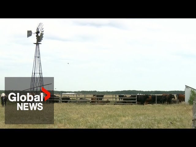 ⁣Ste. Madeleine village lands returned to Manitoba Métis