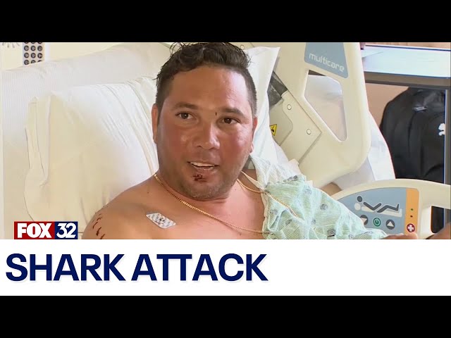 ⁣Shark attacks fisherman in Key West