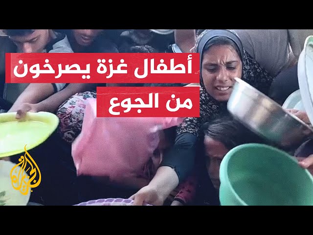 ⁣من أجل وجبة طعام.. تكدس أطفال غزة بسبب الجوع والحصار الإسرائيلي