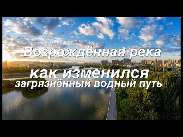 ⁣Возрождённая река: как изменился загрязнённый водный путь