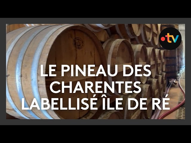 ⁣Viticulture : un label "Île de Ré" pour le Pineau des Charentes