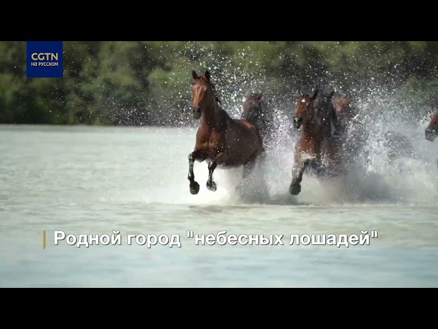 ⁣Международный туристический фестиваль «Тяньма» в Синьцзяне