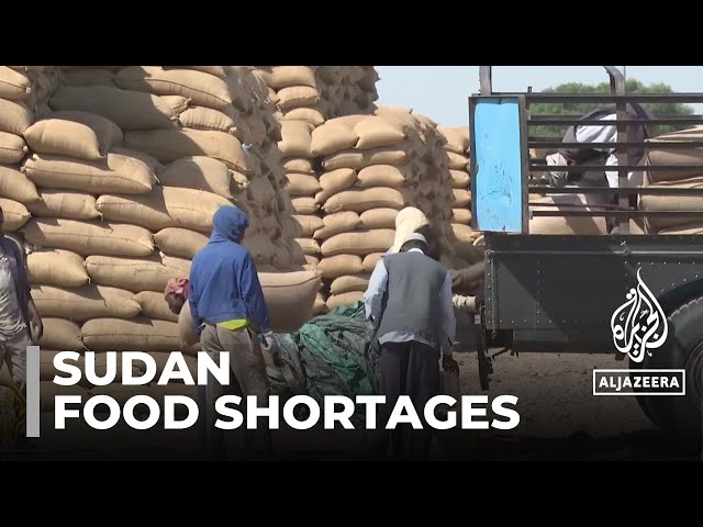 Farmers fleeing fighting: Food shortages loom as agriculture takes a hit