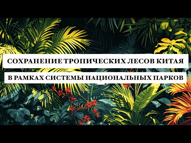 ⁣Сохранение тропических лесов Китая в рамках системы национальных парков