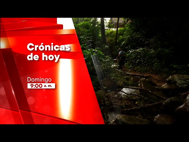 ⁣Crónicas de Hoy (21/07/2024) Promo | TVPerú