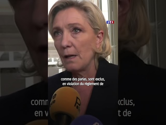 ⁣Postes clés à l'Assemblée : la colère de Marine Le Pen