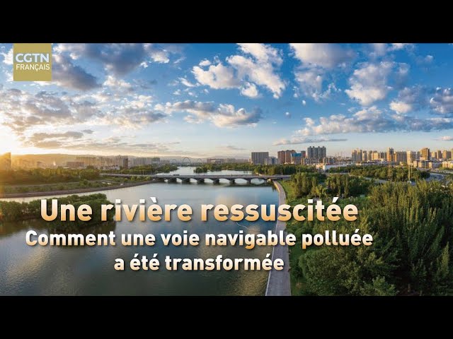 ⁣Une rivière ressuscitée : comment une voie navigable polluée a été transformée