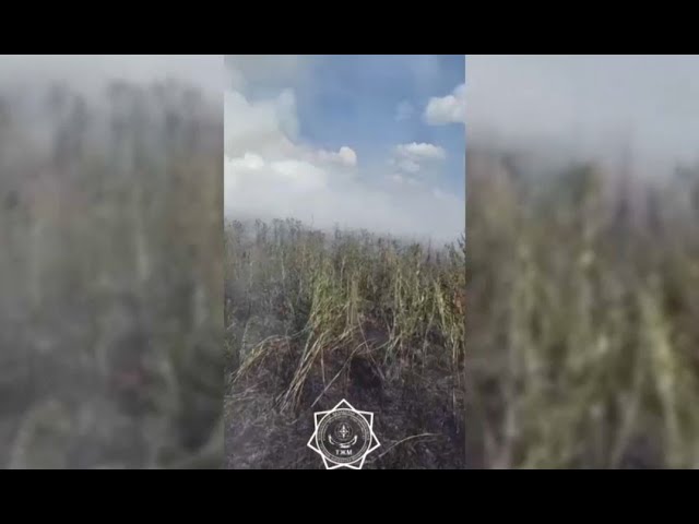 ⁣Пожар сухостоя в районе озера Талдыколь ликвидирован – МЧС