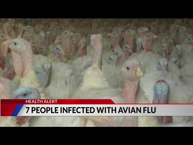 ⁣Another case of avian flu in Weld County brings total to 7