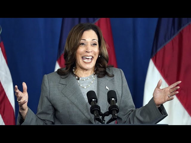 ‘Demented hyena on steroids’: Kamala Harris roasted over ‘failings’ as vice president