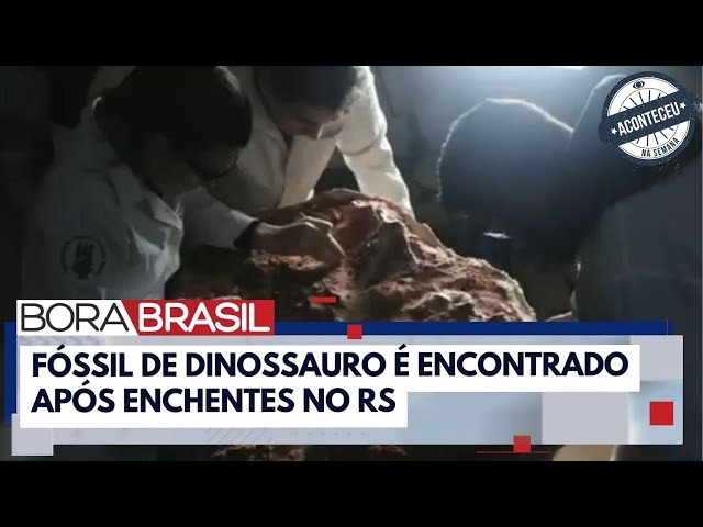 Aconteceu na Semana | Fóssil de dinossauro com mais de 233 milhões de anos é encontrado no RS