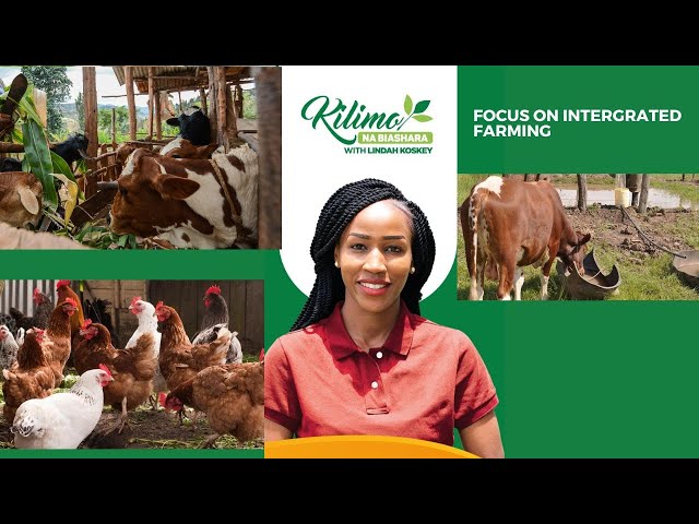 ⁣Focus On Integrated Farming | Kilimo na Biashara