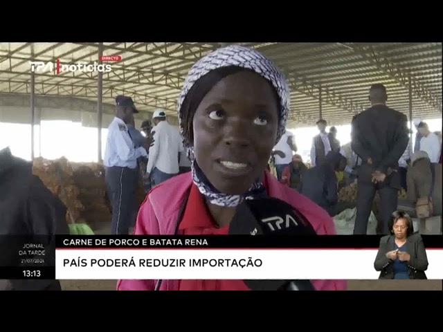 Carne de porco e batata rena - País poderá reduzir importação