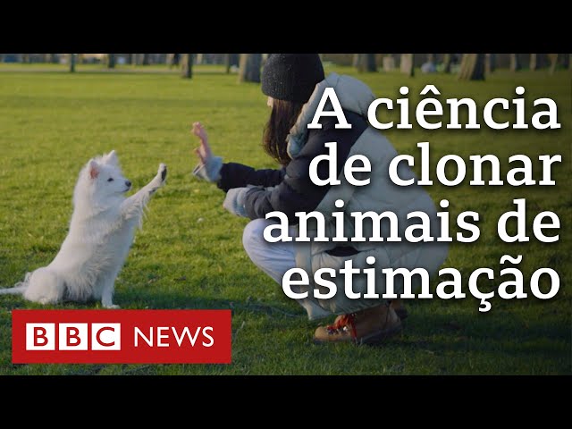 Como funciona a indústria de clonagem de pets