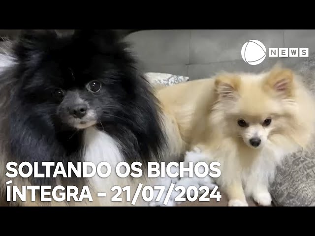 Soltando os Bichos - 21/07/2024