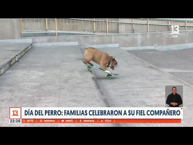 Día del Perro: Familias celebraron a sus fieles compañeros