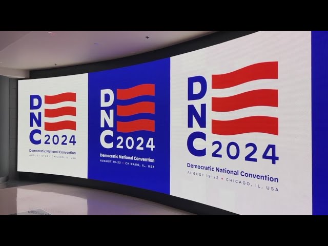 ⁣Colorado delegate shares behind-the-scenes of lead up to DNC