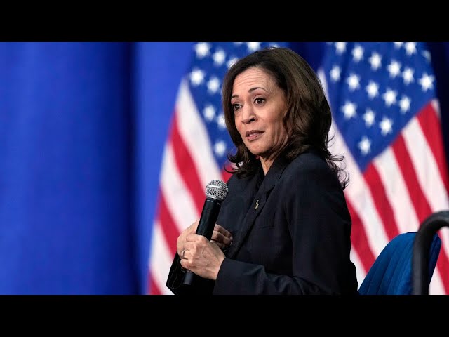 Kamala Harris ‘cannot master the job’ of president ‘under any circumstances’