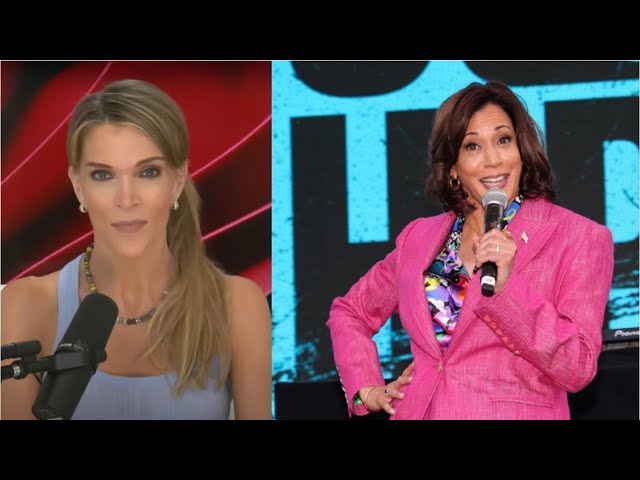 'America is not going to elect this nimrod': Megyn Kelly slams Kamala Harris presidency pu