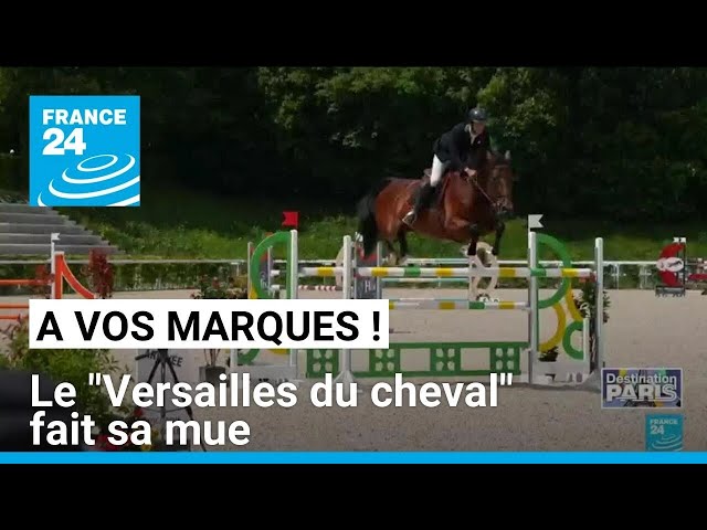 À vos marques : Au Haras national du Pin, le "Versailles du cheval" se modernise • FRANCE 