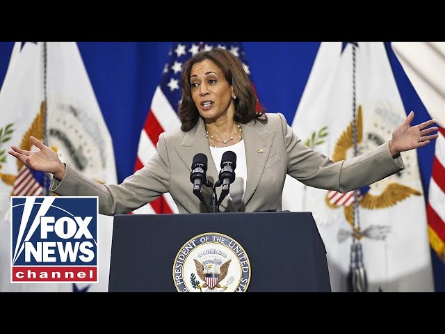 ⁣HER ROYAL HIGHNESS?: Kamala Harris receives flood of support from mainstream media