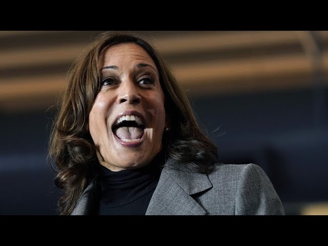 Kamala Harris is ‘pre-occupied with waffling nonsense’