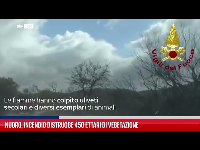 ⁣Nuoro, incendio distrugge 450 ettari di vegetazione