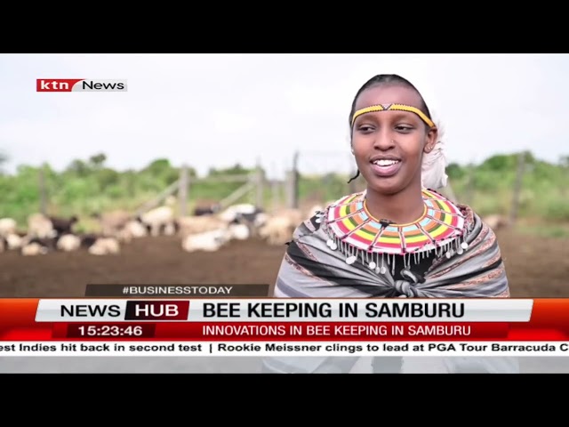 ⁣Samburu Women Find Empowerment and Economic Growth Through Beekeeping