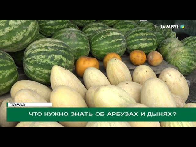 ⁣Что нужно знать об арбузах и дынях?