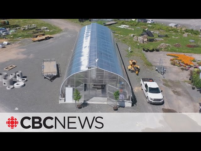 ⁣How a net-zero greenhouse helps this city fight climate change