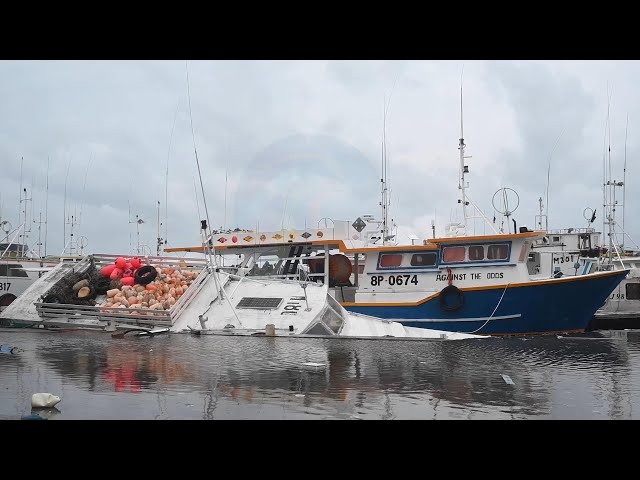 Boat owners urged to get marine insurance