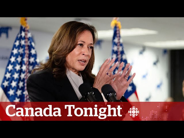 ⁣Democrats are smiling after Harris’ speech, says Obama’s former speechwriter | Canada Tonight