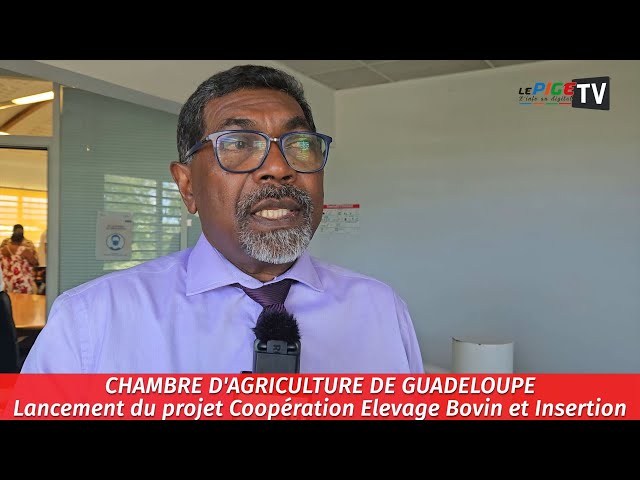 ⁣Chambre d'agriculture de Guadeloupe : Lancement du projet Coopération Élevage Bovin et Insertio