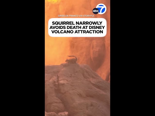 ⁣Squirrel narrowly avoids death at Disney volcano attraction