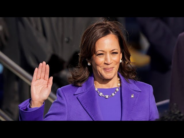 US Political Analyst discusses Kamala Harris' potential running mates