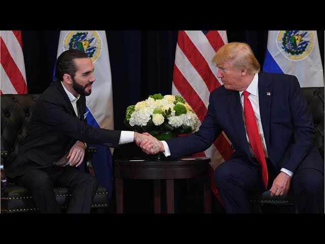 Donald Trump slams El Salvador's Nayib Bukele as MAGA Republicans praise him