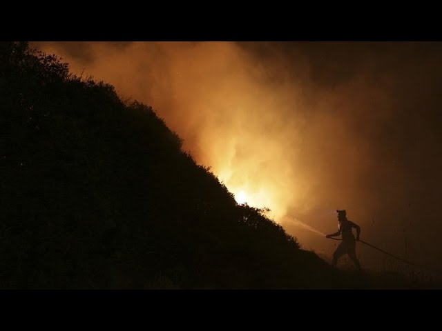 ⁣Los incendios arrasan con miles de hectáreas de terreno en el sur de Europa