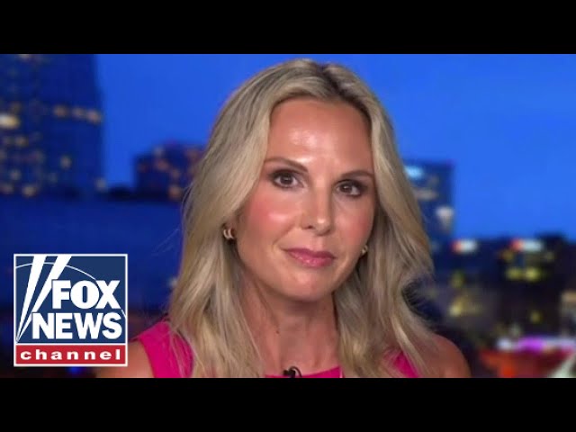 ⁣Elisabeth Hasselbeck: The mainstream media is in 'manipulation mode'