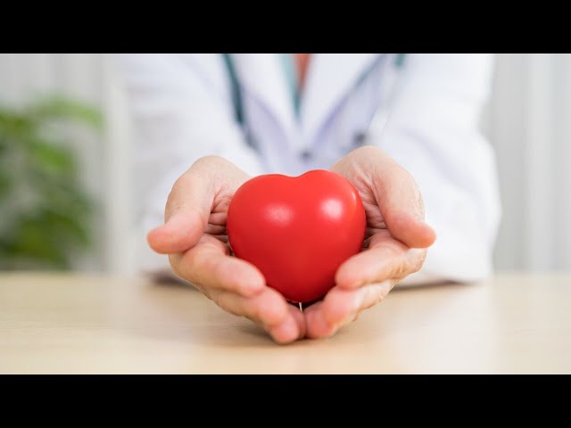 ⁣New breakthrough cardiovascular test to begin clinical trials in 2025