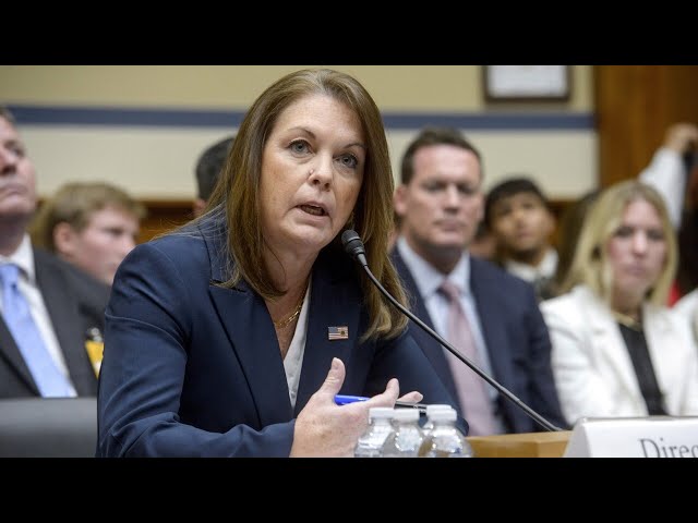 ⁣‘Outrage’ over Secret Service director's responses during hearing on Trump assassination attemp