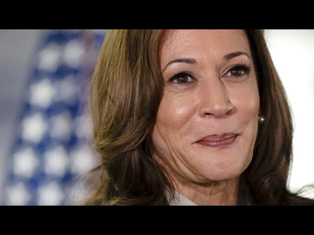 Kamala Harris breaks fundraising record after Biden drops out