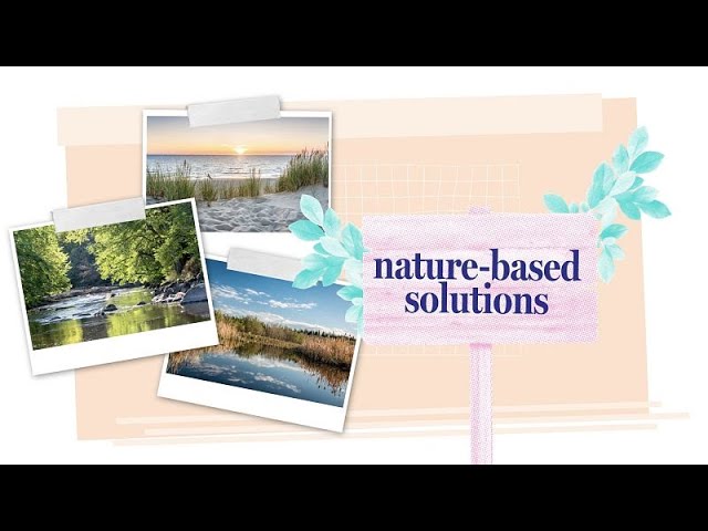 Solutions naturelles : la nature, meilleure alliée de l'eau face au réchauffement climatique