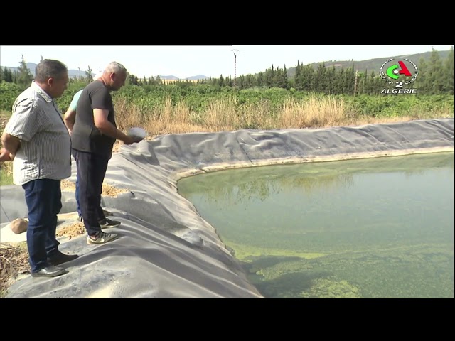 ⁣Skikda , encouragement des agriculteurs à  intégrer la pisciculture dans leur activité