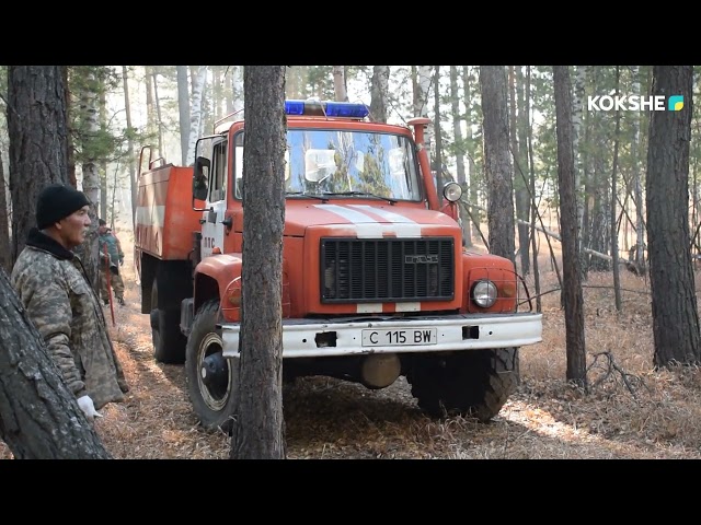 ⁣РОЛИК - Пожарные-23.07.2024 Зарина